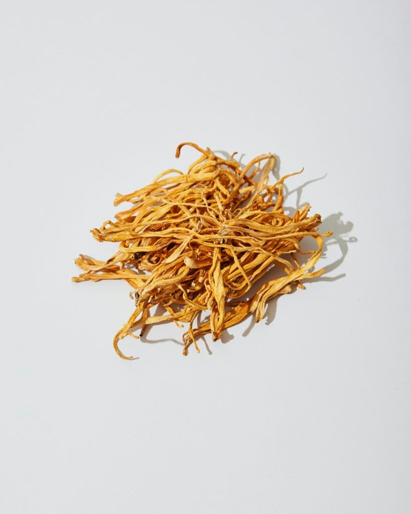 The Fascinating Benefits of Cordyceps Sinensis