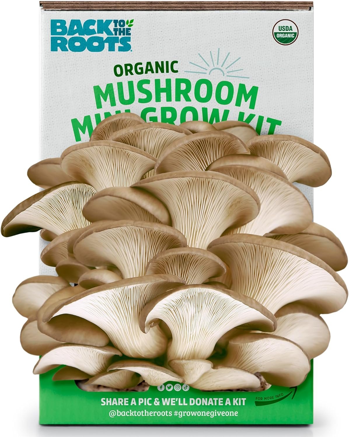 Back to the Roots Organic Mini Mushroom Grow Kit, Harvest Gourmet Oyster Mushrooms In 10 days, Top Gardening Gift, Holiday Gift,  Unique Gift