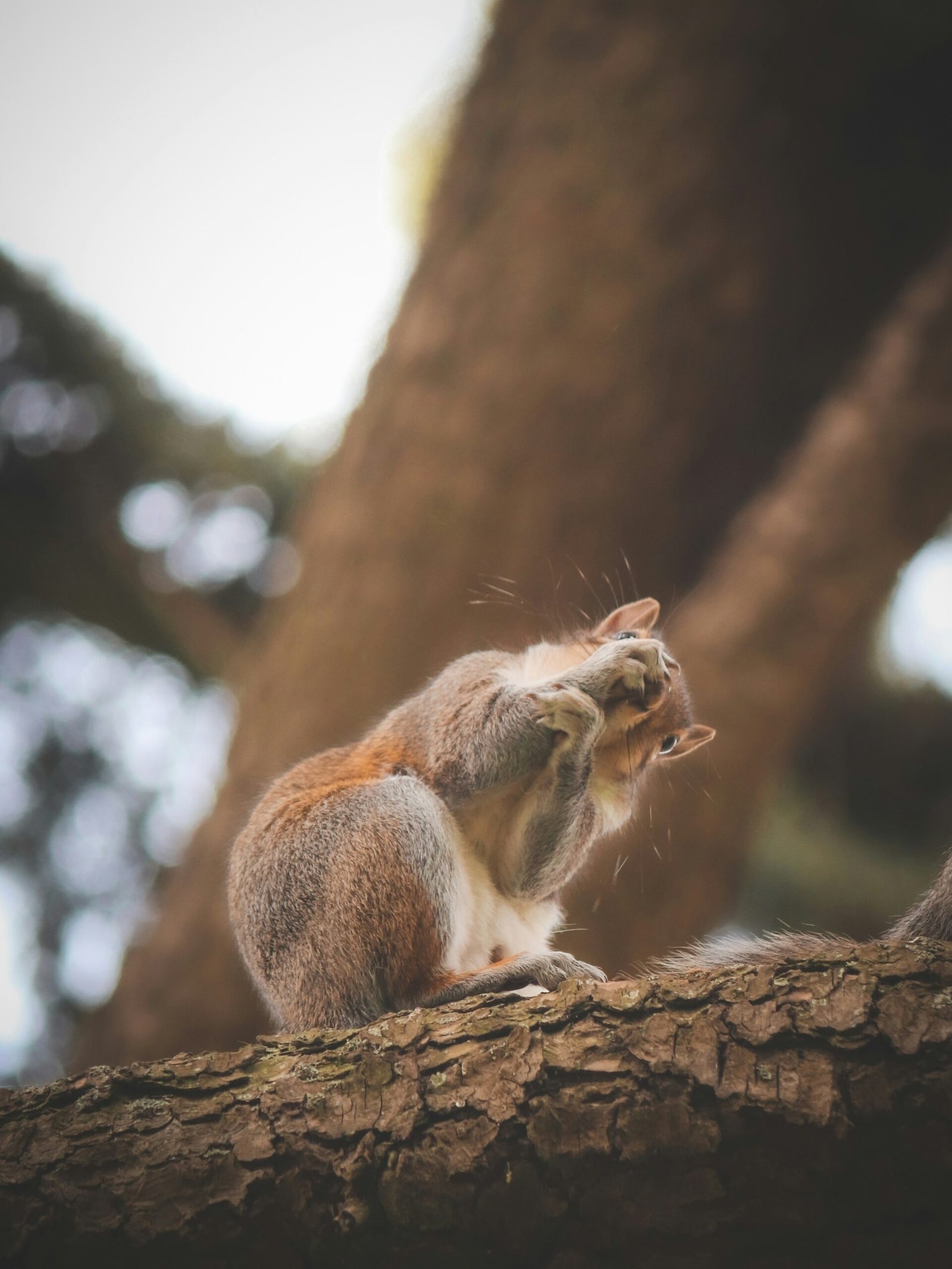 A Culinary Adventure: Foraging In Italy’s Countryside