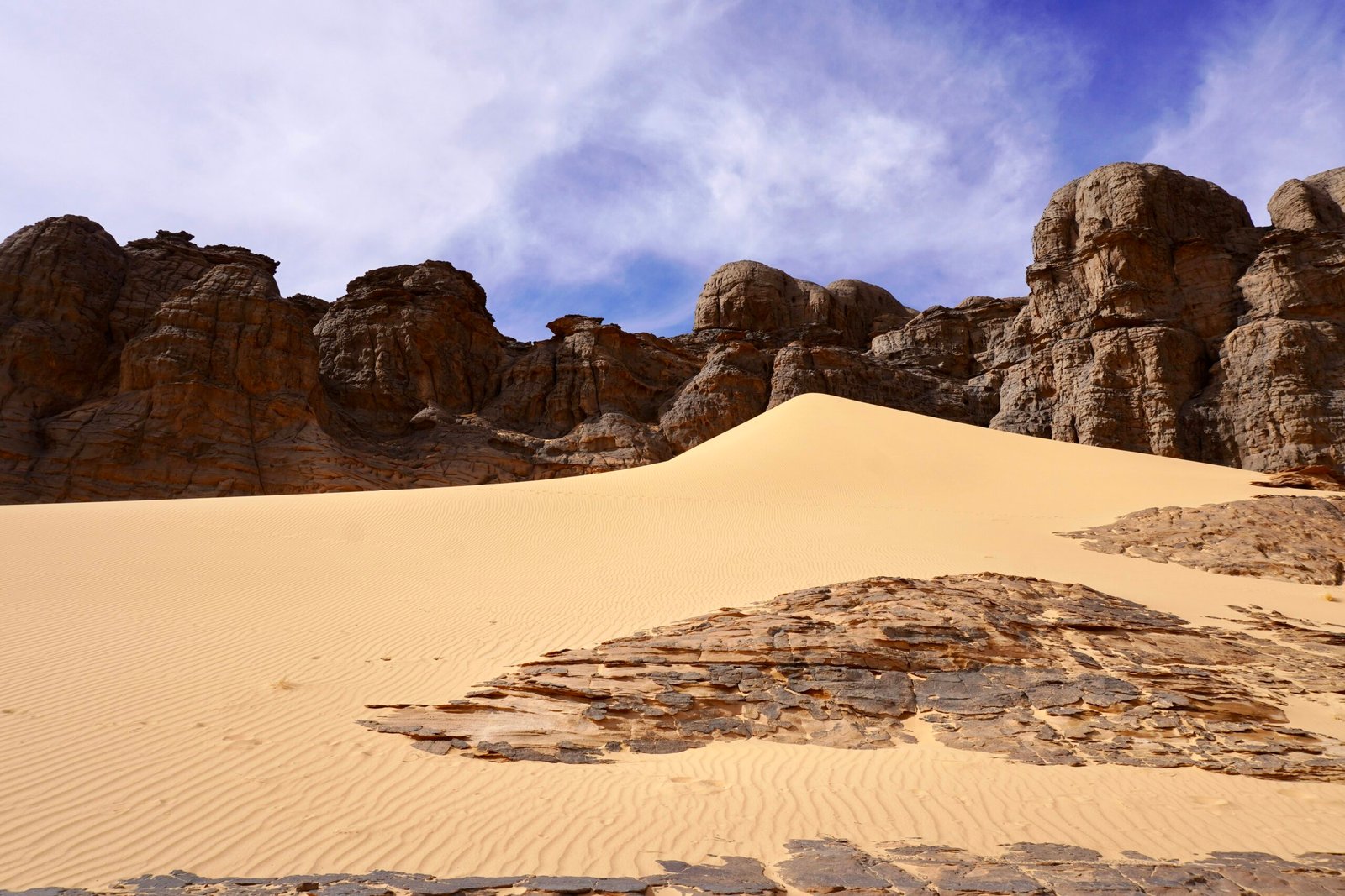 Mushrooms Of The Sahara: Foraging In Desert Oases