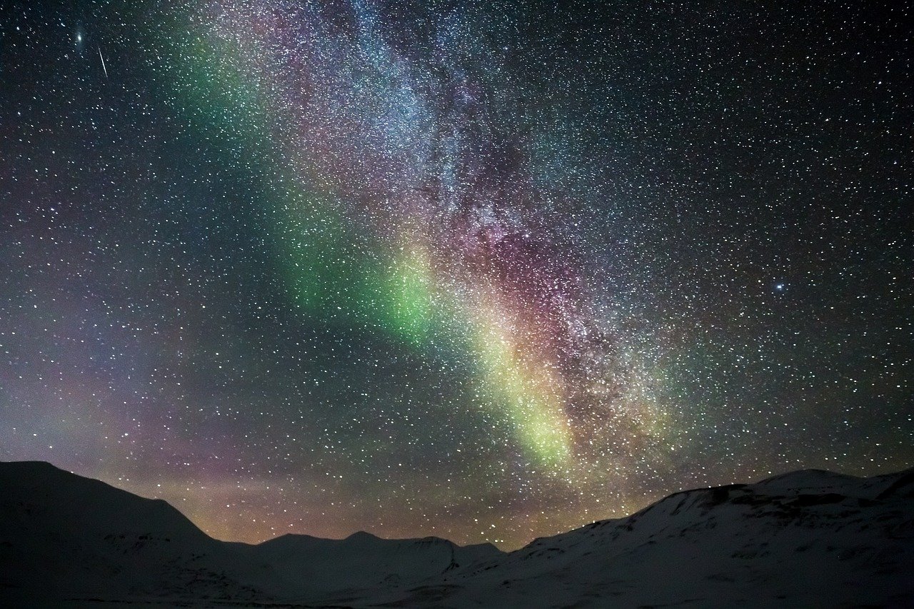 Foraging Under The Northern Lights: Mushrooms Of The Arctic Circle