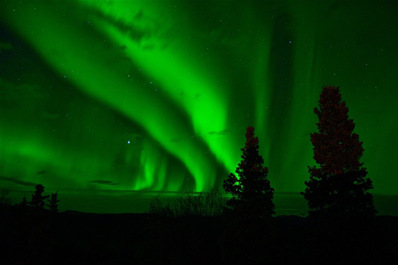 Foraging Under The Northern Lights: Mushrooms Of The Arctic Circle